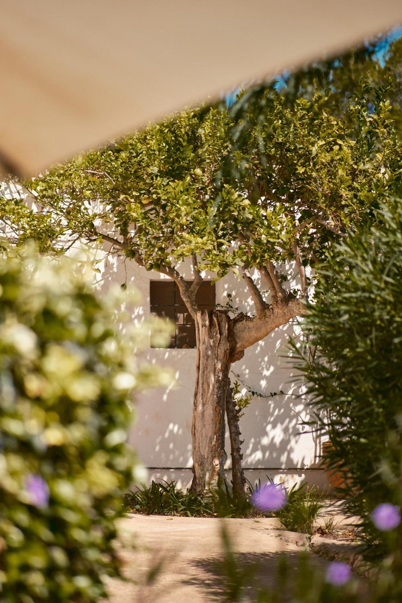 Hotel The Guardian House Santa Gertrudis  Exterior foto