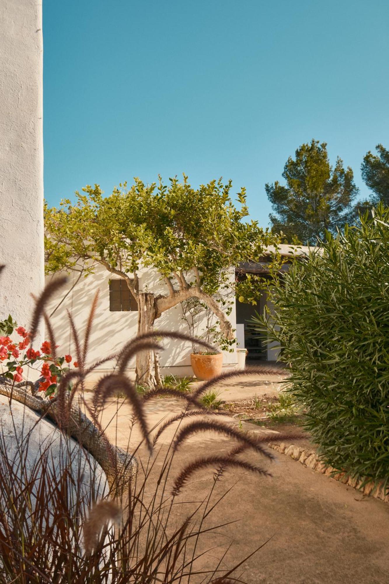 Hotel The Guardian House Santa Gertrudis  Exterior foto